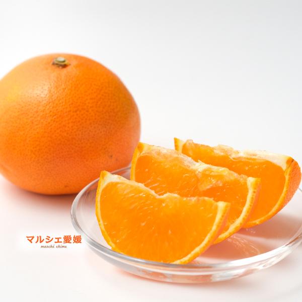 あいか 2.5キロ まどんな サイズ混合 約12〜14個 箱買い L 2L 3L 2.5kg