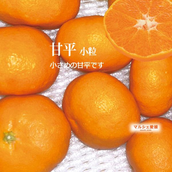 甘平 5kg 小粒 小玉 傷有 酸味有 箱買い 5キロ サイズ混合 家庭用 かん