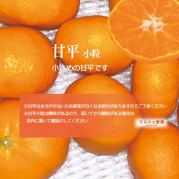 甘平 5kg 小粒 小玉 傷有 酸味有 箱買い 5キロ サイズ混合 家庭用 かん