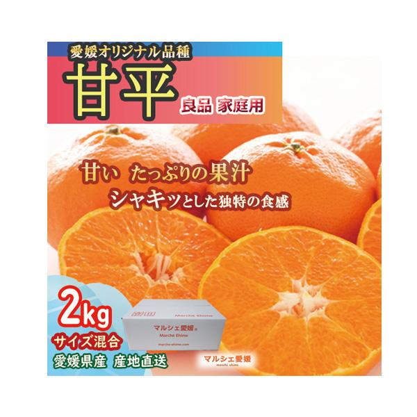 甘平 2kg サイズ混合 良品 家庭用 かんぺい 愛媛 みかん 箱買い