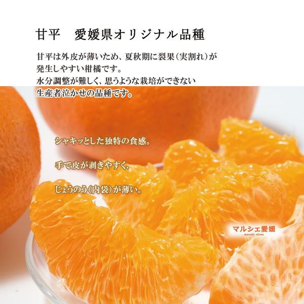 甘平 贈答用 みかん 2kg × 2箱 4キロ L 2L 箱買い 柑橘 愛媛 お