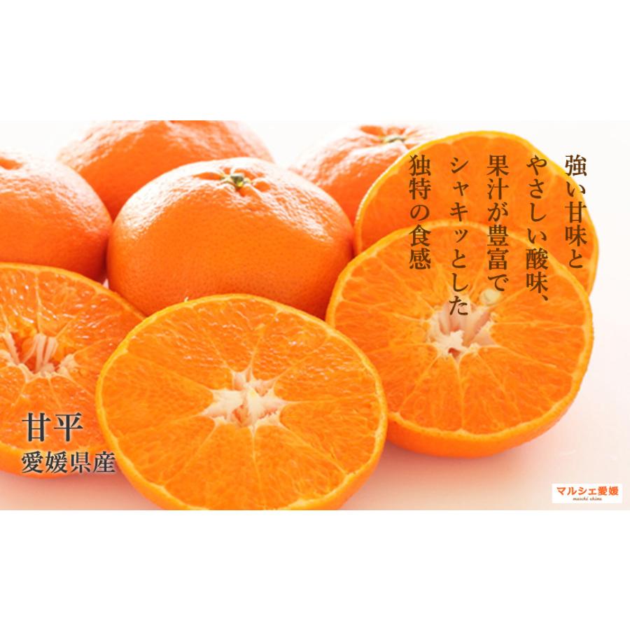 甘平 4キロ 贈答用 みかん 2kg × 2箱 L 2L 箱買い 柑橘 愛媛 お