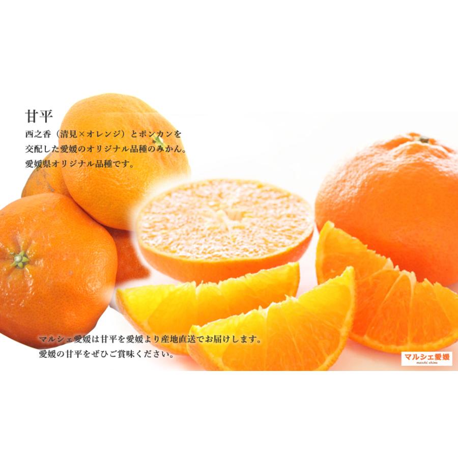 甘平 5キロ 贈答用 秀品 愛媛 フルーツ ギフト かんぺい みかん 5kg 箱買い 一部地域 送料無料