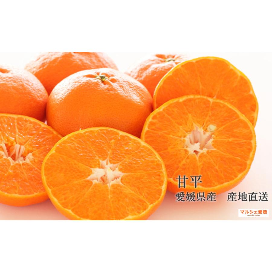 甘平 5キロ 贈答用 秀品 愛媛 フルーツ ギフト かんぺい みかん 5kg 箱買い 一部地域 送料無料