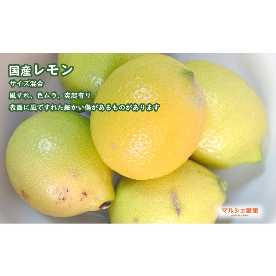 レモンおまとめ Amazon.co.jp: 希望の島 レモン 家庭用 サイズ込 残留農薬ゼロ 国産