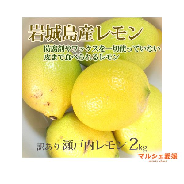 レモン 瀬戸内レモン 2キロ 可品2kg サイズ混合 国産レモン S M L 2L