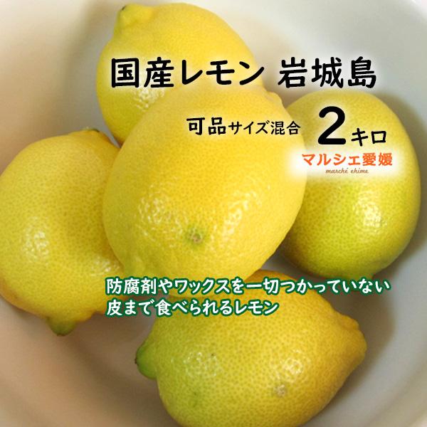 レモン 瀬戸内レモン 2キロ 可品2kg サイズ混合 国産レモン S M L 2L