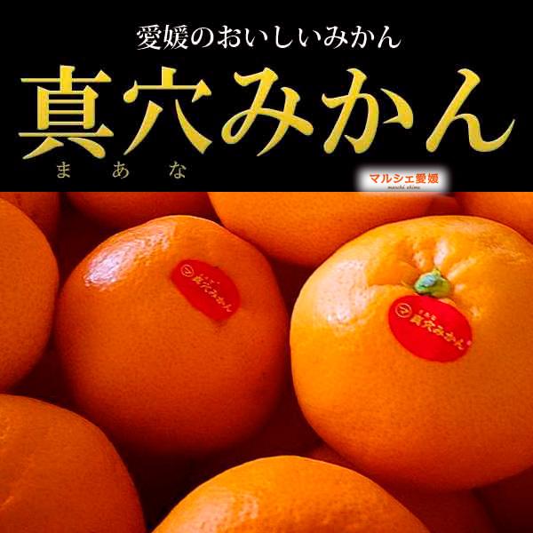 みかん祭り‼️きたー‼️真穴みかん、まどんな、石地みかん総重量15kg7980円5 予約割引※【最高級】真穴（まあな）産地直送 極上みかん 2S～Sサイズ