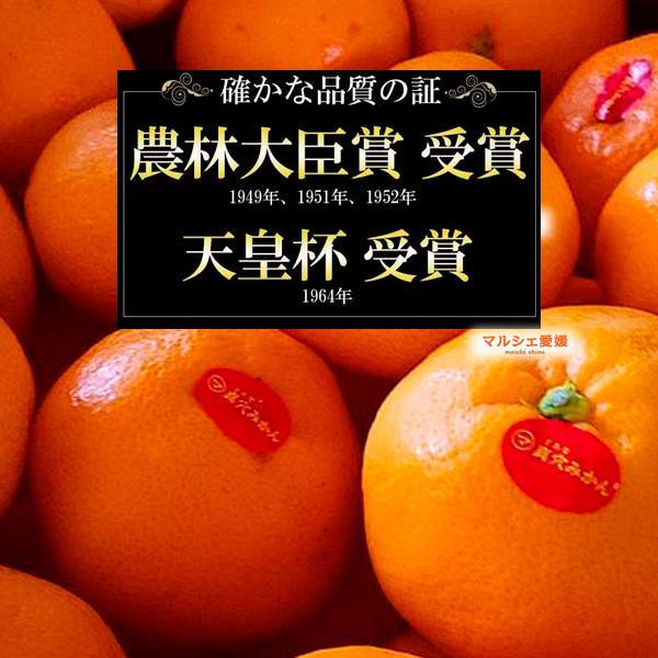 真穴みかん 5キロ レギュラー 良品 5kg S M L 愛媛 西宇和 みかん 真穴