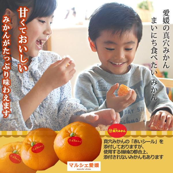 翌日発送出来ます⭐︎愛媛県産真穴みかん早生みかん S、2 S約10キロ 真穴みかん 商品一覧 - 産直だより - 売れ筋通販 - Yahoo!ショッピング