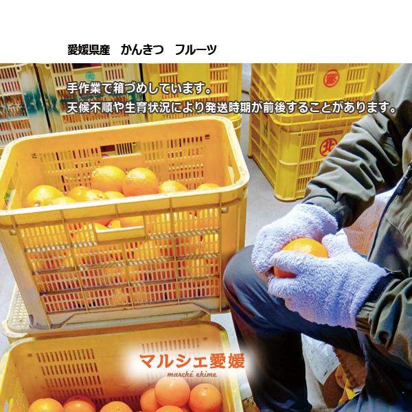 愛媛産せとか　お得なセット2Lサイズ✕２箱　計10キロ（箱込み） せとか 2キロ 柔らかい果肉 良品 家庭用 L 2L サイズ混合 2kg まれに傷