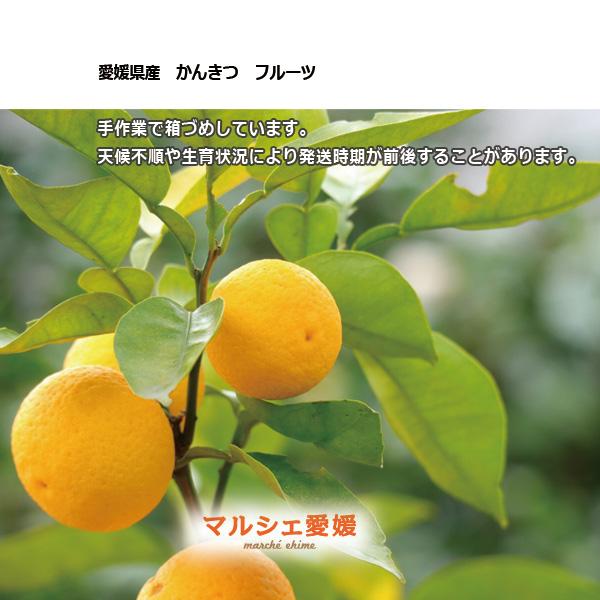 せとか 2キロ 柔らかい果肉 良品 家庭用 L 2L サイズ混合 2kg まれに傷