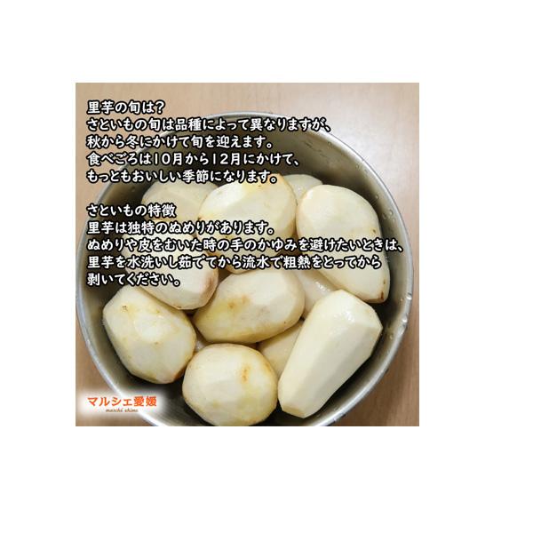 さといも 伊予美人 10kg 秀品 L 2L 里芋 10キロ 贈答用 愛媛 大きめ