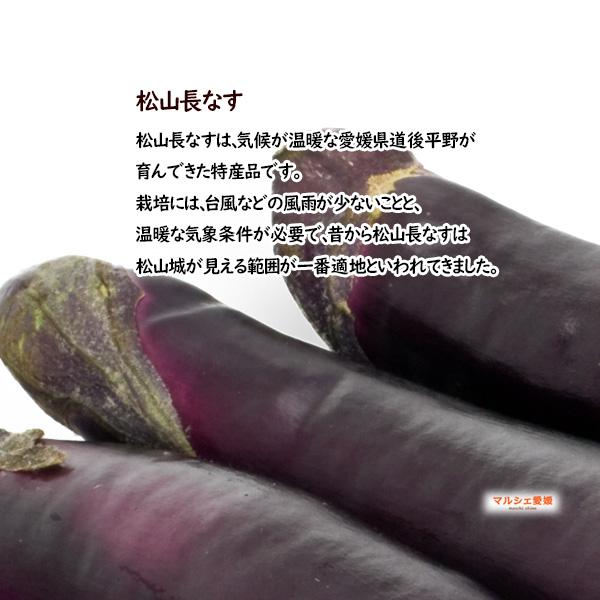 なす 長茄子 松山長なす 5kg 秀品 L 贈答用 皮と実がやわらかい 5キロ