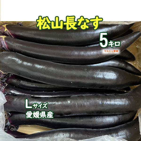 なす 長茄子 松山長なす 5kg 秀品 L 贈答用 皮と実がやわらかい 5キロ