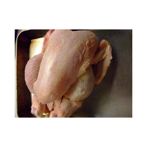 柔らかい　冷凍　スペイン産　雛鳥（プーサン・コクレ）1羽