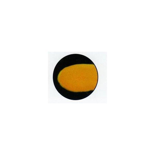 チョコレート用 色粉 黄（卵黄）色 200g 業務用 フランスPCB社 : 輸入