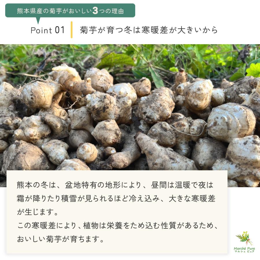 菊芋茶 国産 ティーパック 120包×4袋 熊本県産 キクイモ茶 ノンカフェイン ティーバッグ_6