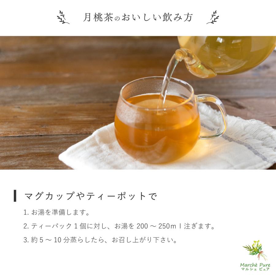 月桃茶 沖縄県産 ティーパック 2g×40包 国産 ティーバッグ ノンカフェ