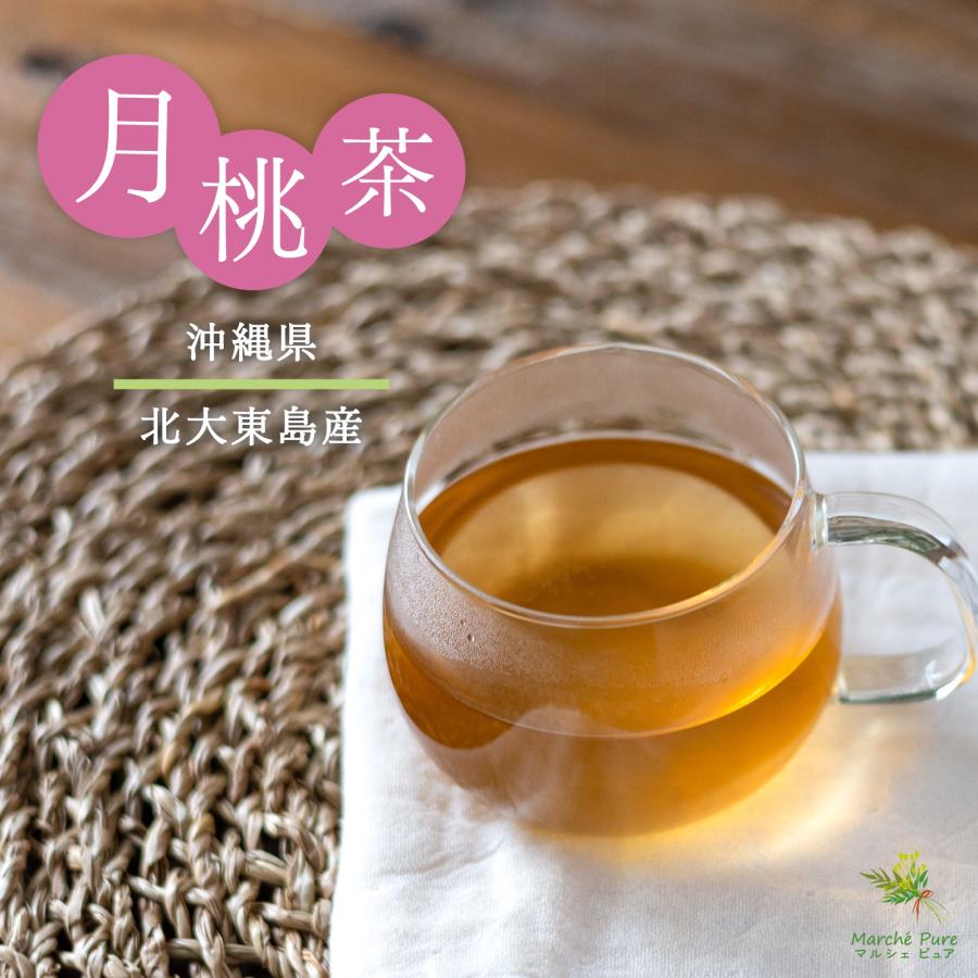 月桃茶 沖縄県産 ティーパック 2g×40包 国産 ティーバッグ ノンカフェ