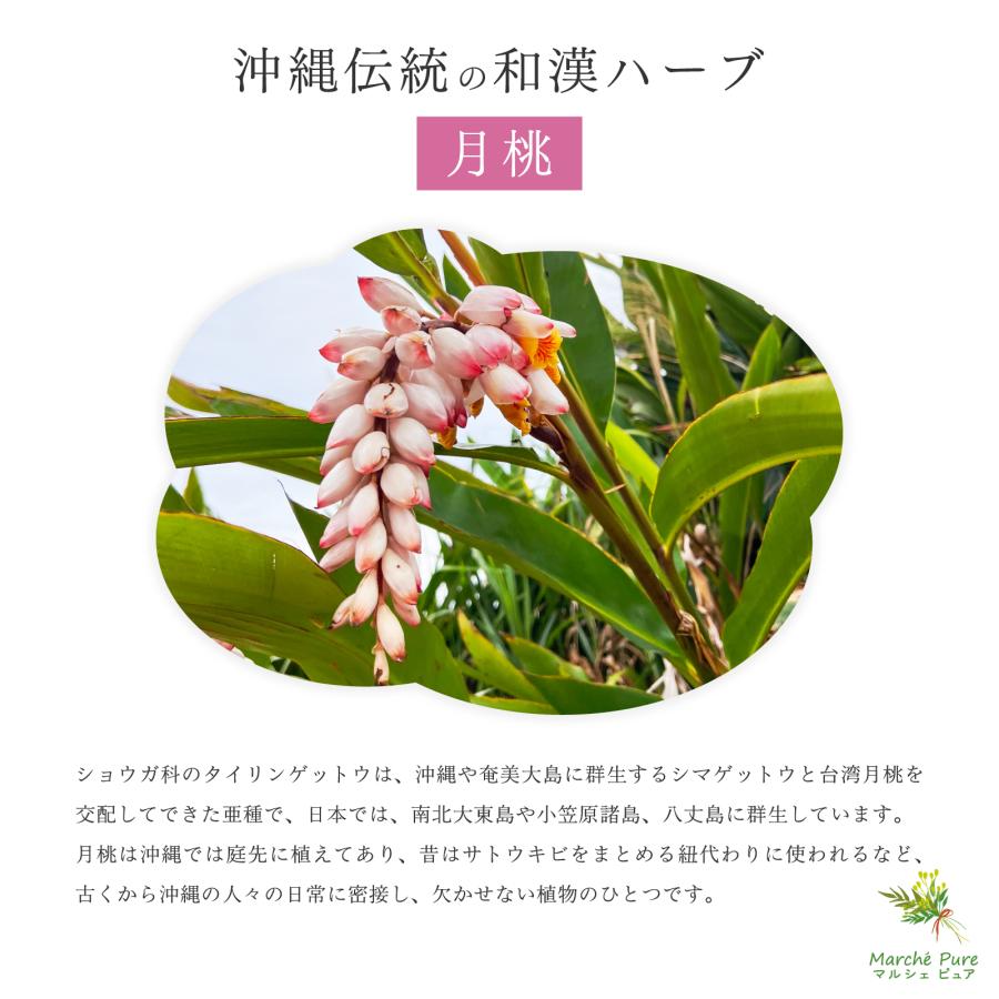 月桃茶 沖縄県産 ティーパック 2g×40包 国産 ティーバッグ ノンカフェ