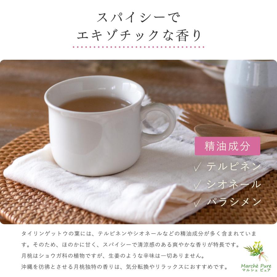 月桃茶 沖縄県産 ティーパック 2g×40包 国産 ティーバッグ ノンカフェ