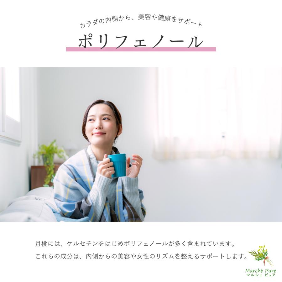月桃茶 沖縄県産 ティーパック 2g×40包 国産 ティーバッグ ノンカフェ