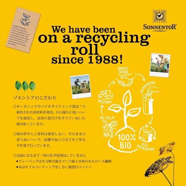 オーガニックハーブティー　クリスマスカウントダウンのお茶 |  | 07