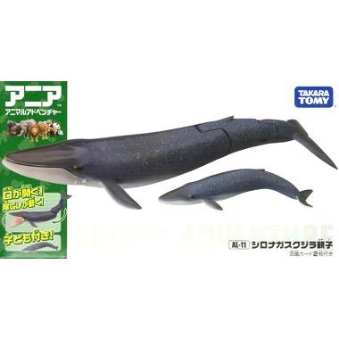 アニア Al 11 シロナガスクジラ 親子 トイショップメルヘン 通販 Yahoo ショッピング