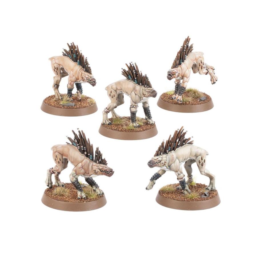 2024年5月11日発売】【新品】タウ・エンパイア：クルートハウンド 