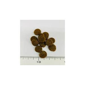 【パッケージ不良】アカナ ACANA ヘリテージ アダルトドッグ 6kg ドッグフード 国内正規品【送料無料 但し、北海道・沖縄県除く】の画像