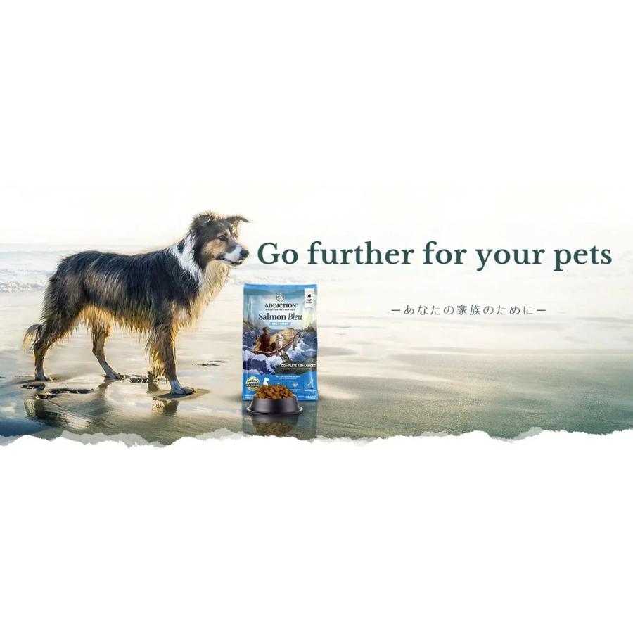 アディクション サーモンブルー 4.8kg（800g×6袋） オールステージ対応 グレインフリー 国内正規品［正規販売店］【送料無料 但し、北海道・沖縄県除く】の画像