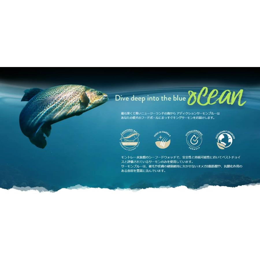 アディクション サーモンブルー 4.8kg（800g×6袋） オールステージ対応 グレインフリー 国内正規品［正規販売店］【送料無料 但し、北海道・沖縄県除く】の画像