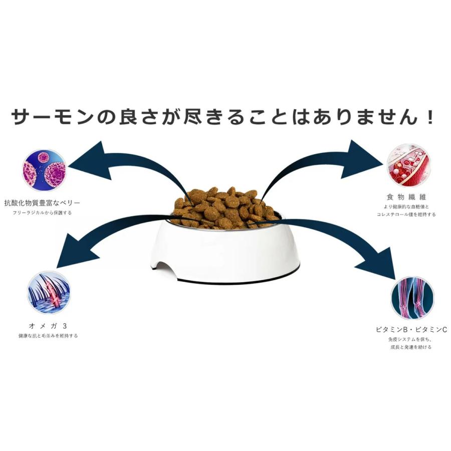 アディクション サーモンブルー 4.8kg（800g×6袋） オールステージ対応 グレインフリー 国内正規品［正規販売店］【送料無料 但し、北海道・沖縄県除く】の画像