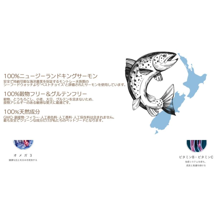 アディクション サーモンブルー 4.8kg（800g×6袋） オールステージ対応 グレインフリー 国内正規品［正規販売店］【送料無料 但し、北海道・沖縄県除く】の画像