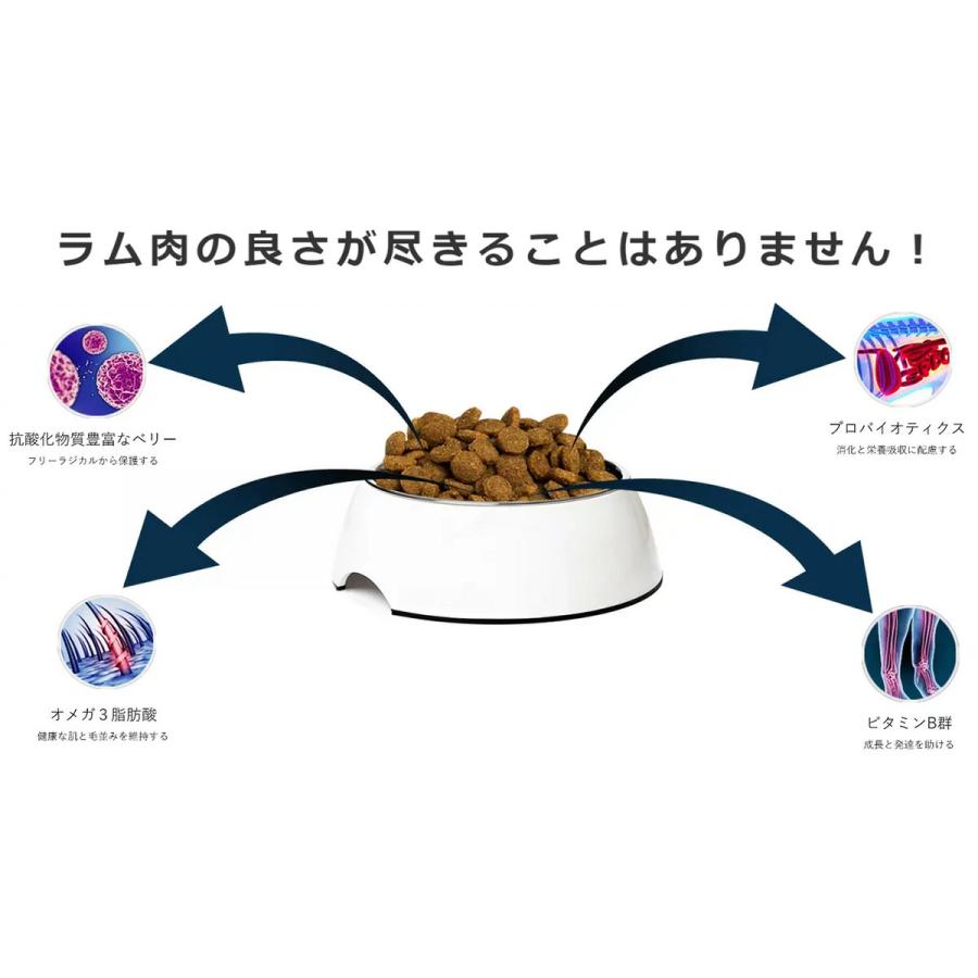 アディクション ル・ラム 4.8kg（800g×6袋）オールステージ対応 グレインフリー 国内正規品［正規販売店］【送料無料 但し、北海道・沖縄県除く】の画像