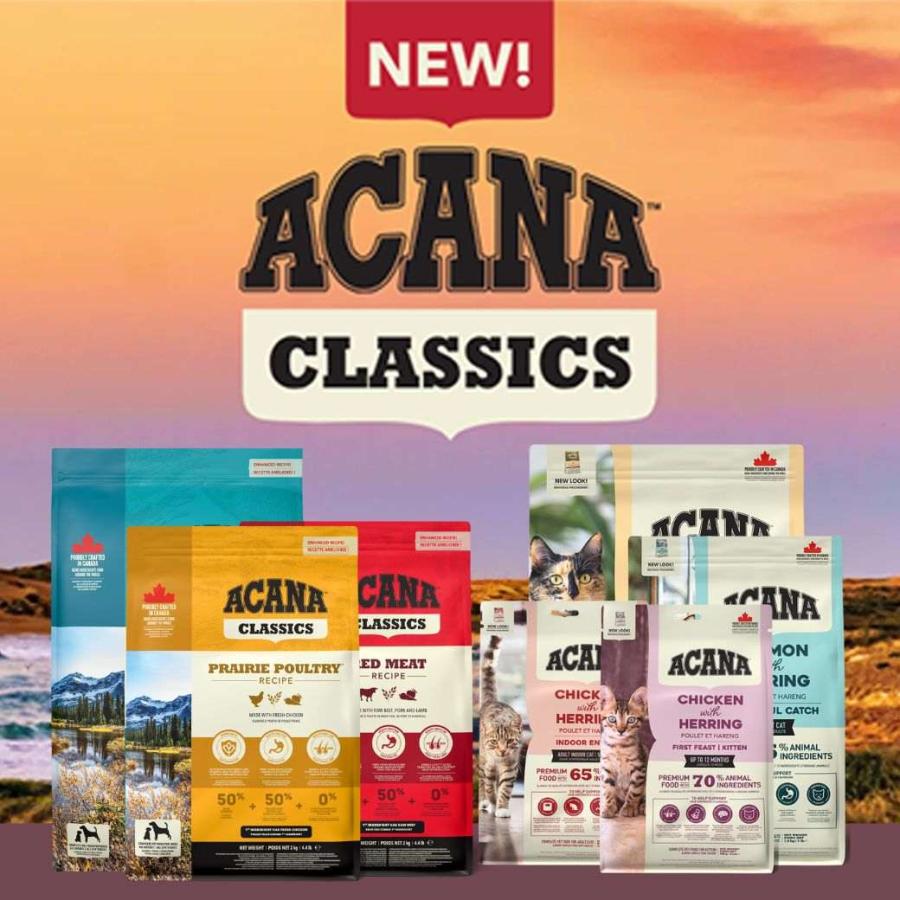 【パッケージ不良】アカナ ACANA クラッシック ワイルドコーストレシピ（天然魚）4kg（2kg×2袋）コストコ COSTCO 取扱品【送料無料 但し、北海道・沖縄県除く】 | ACANA | 03