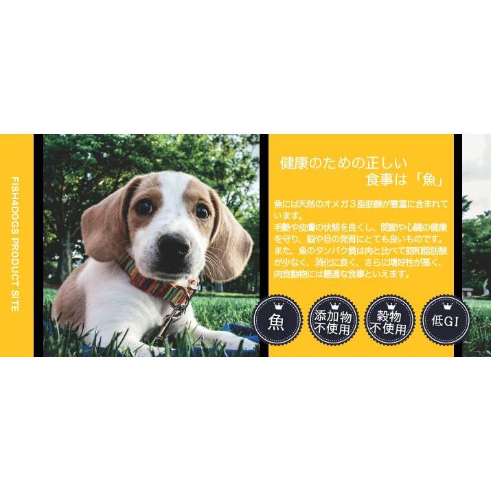 フィッシュ4 フィッシュ4ドッグ ファイネスト サーモン シニア 3kg