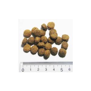 アーガイルディッシュ ウィステリア・アダルト 8kg（4kg×2袋）ドッグフード 成犬用総合栄養食 国内正規品【送料無料 但し、離島・北海道・沖縄県除く】