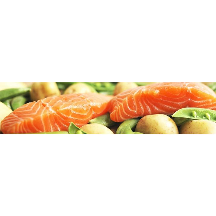 フィッシュ4 フィッシュ4ドッグ ファイネスト サーモン シニア 6kg 全
