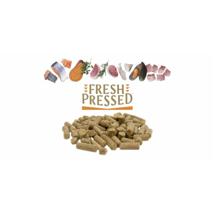 トライバル チキン 12kg テモア トライバル フレッシュチキン 12kg