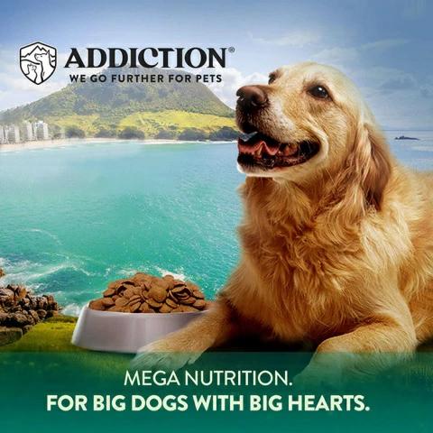 アディクション メガ MEGA 20kg オールステージ対応 グレインフリー