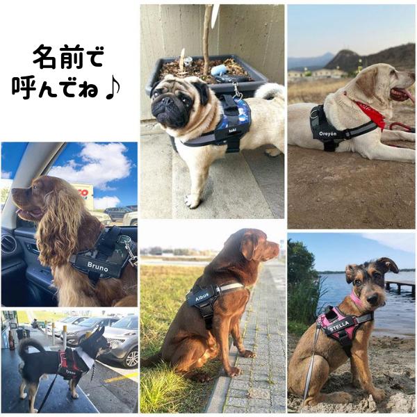 ハーネス 犬 名前入り 名入れ おしゃれ 反射 抜けにくい 痛くない 犬用