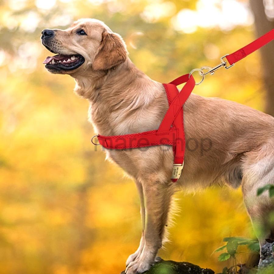 ハーネス 胴輪 迷子札 名札 IDタグ 名前入り 名入れ対応 小型犬 中型犬