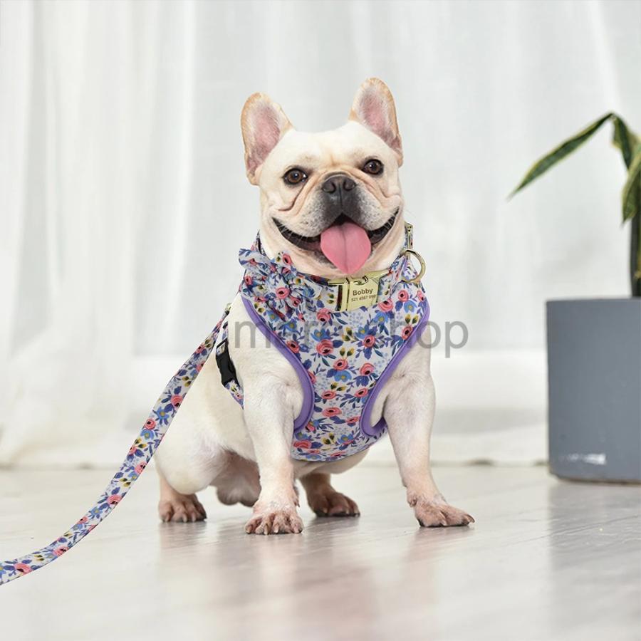 ハーネス 胴輪 名前入り 名入れ 小型 中型 大型犬 ハーネスベルト 犬