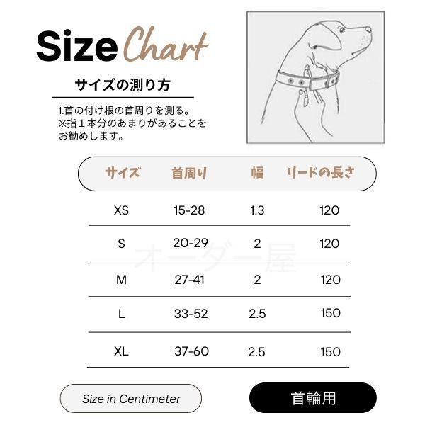 ハーネス 胴輪 首輪 ボア リード セット ピンク 名入れ対応 小型 中型