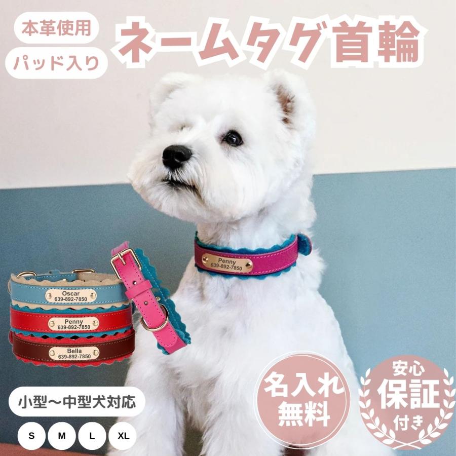 首輪 犬 名前入り 革 レザー 本革 おしゃれ ネーム 無料刻印 小型 中型