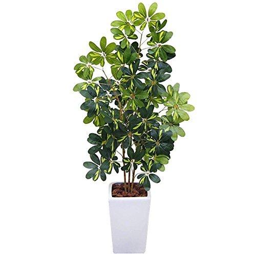 送料無料 神戸花物語 Kobe Flower Story フェイクグリーン 観葉植物 造花 大型 シェフレラ ナチュラル カポックツリー 鉢植 A B073vgf1qq Mare空間 通販 Yahoo ショッピング お1人様1点限り M Mahdi Net