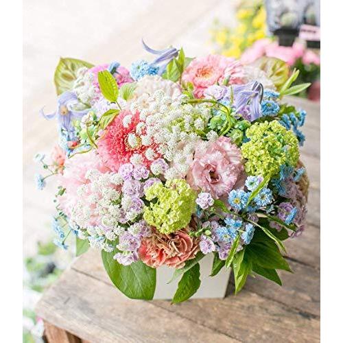 安心の定価販売 ギフト 指定日配達 プライムお急ぎ便 フラワーアレンジメント 誕生日 結婚記念日 お祝い 開店祝い 還暦 母の日 肌触りがいい Raloffshore Com