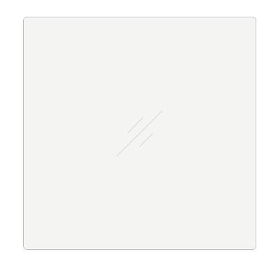 レコード盤防御すること SP（10in）レコード盤 用 防御すること板 プラ板 20枚仕掛ける / SP-005 レコードケース、バッグ-楽器、手芸、コレクション